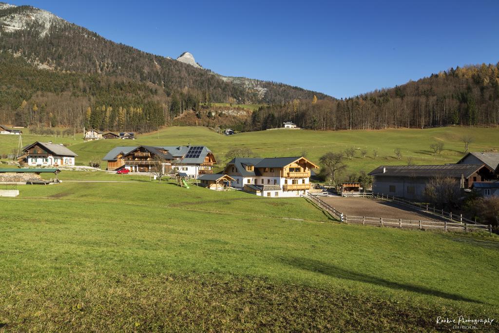 Ferienwohnung Feriengut Suassbauer Saint Wolfgang Exterior foto